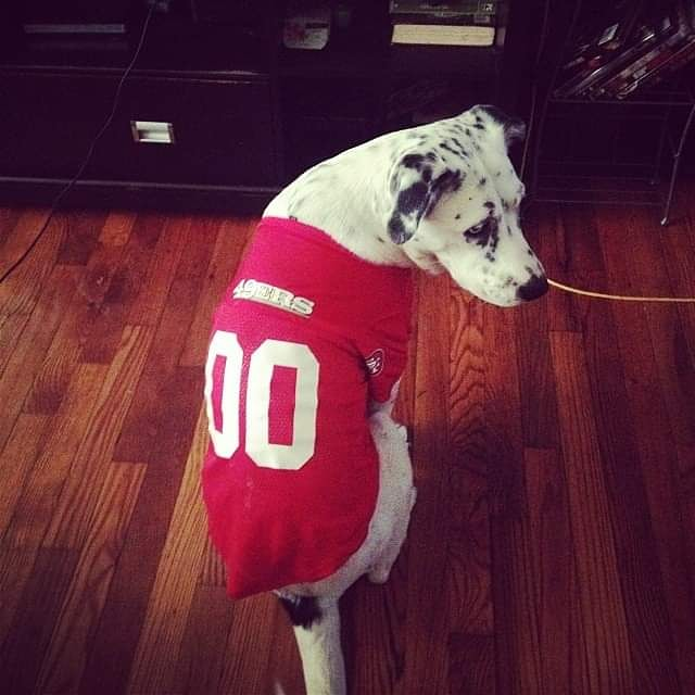 manny.k on One Bite Pizza App