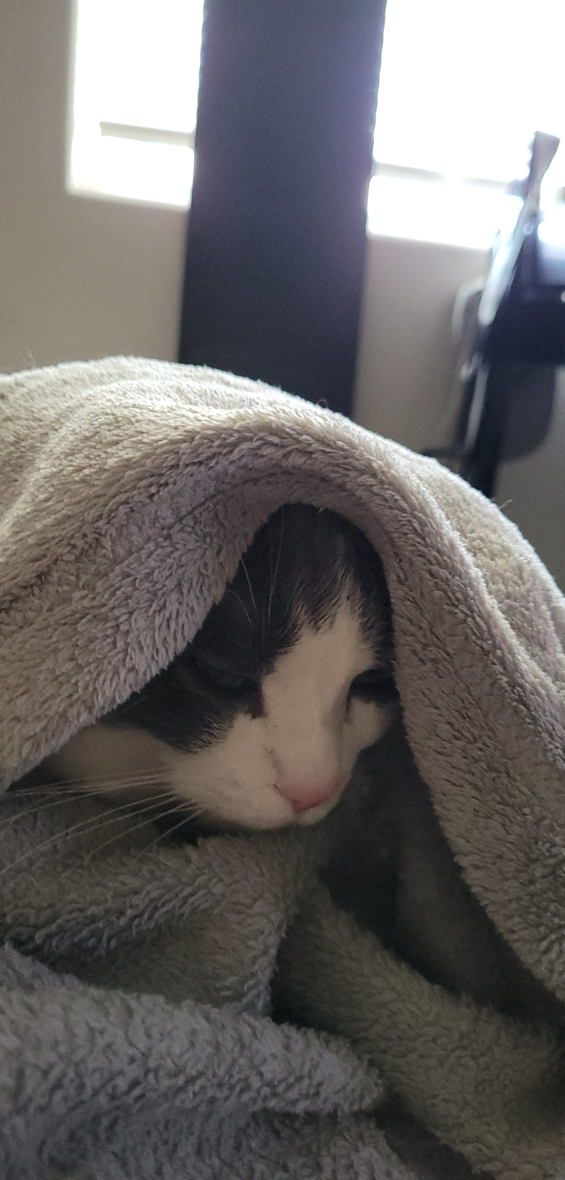 tylenolkid on One Bite Pizza App