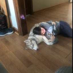 robert.kudlacik on One Bite Pizza App