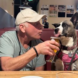 torrrrr on One Bite Pizza App