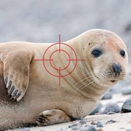 doug.thurston on One Bite Pizza App