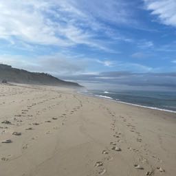 shacarri.richardson on One Bite Pizza App