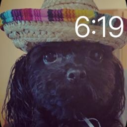 kennan.strong on One Bite Pizza App