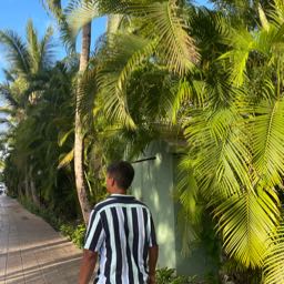 philpaty on One Bite Pizza App