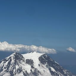 marc.ross on One Bite Pizza App