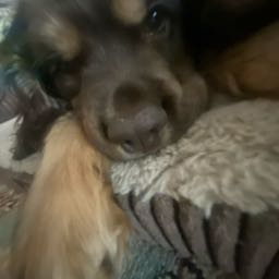 jaden.rivera on One Bite Pizza App