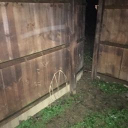 mbrawner7707 on One Bite Pizza App