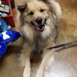 m.wade on One Bite Pizza App