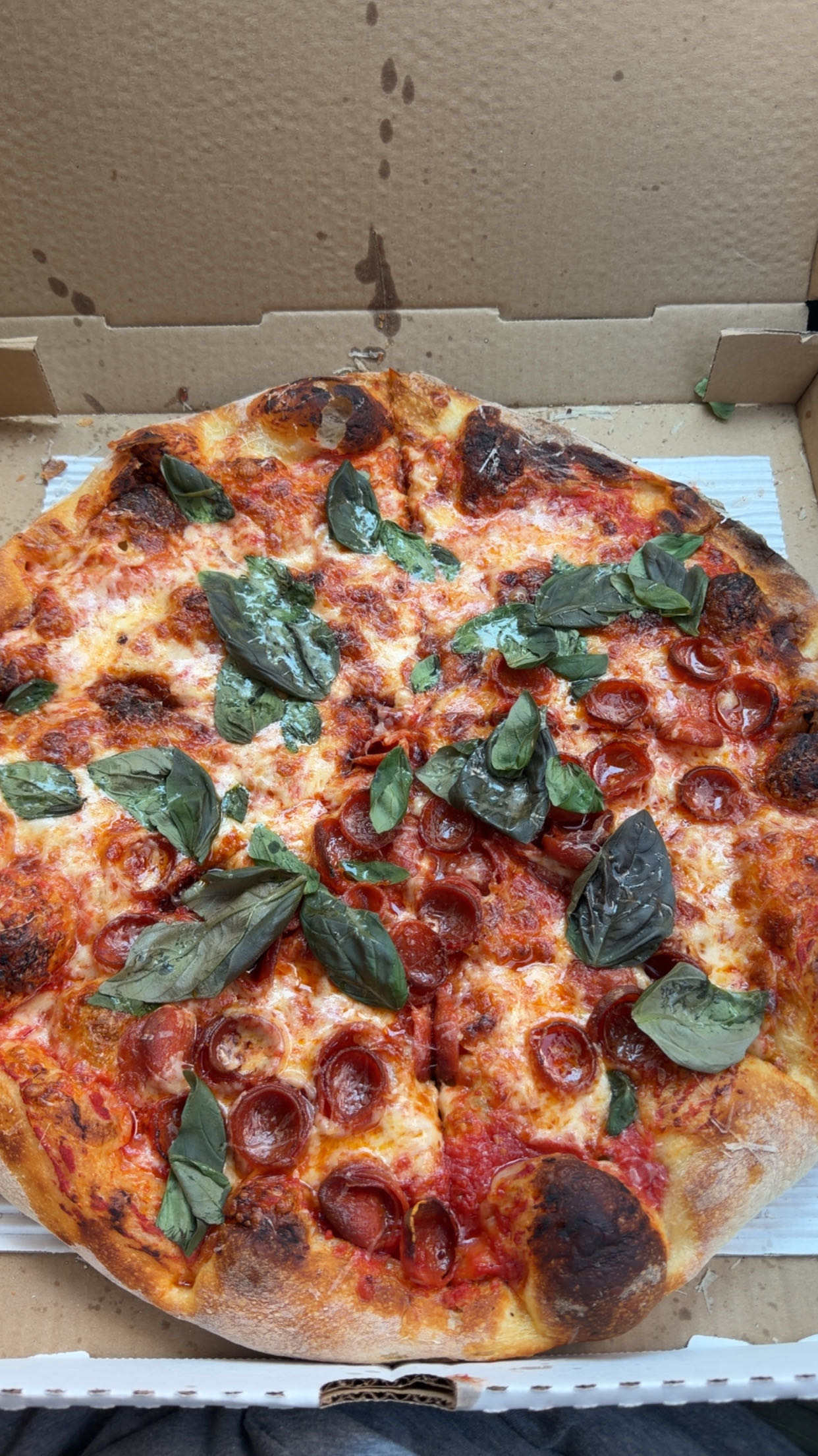 Pizza Review