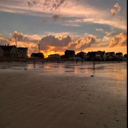 cathryn.kokoski on One Bite Pizza App