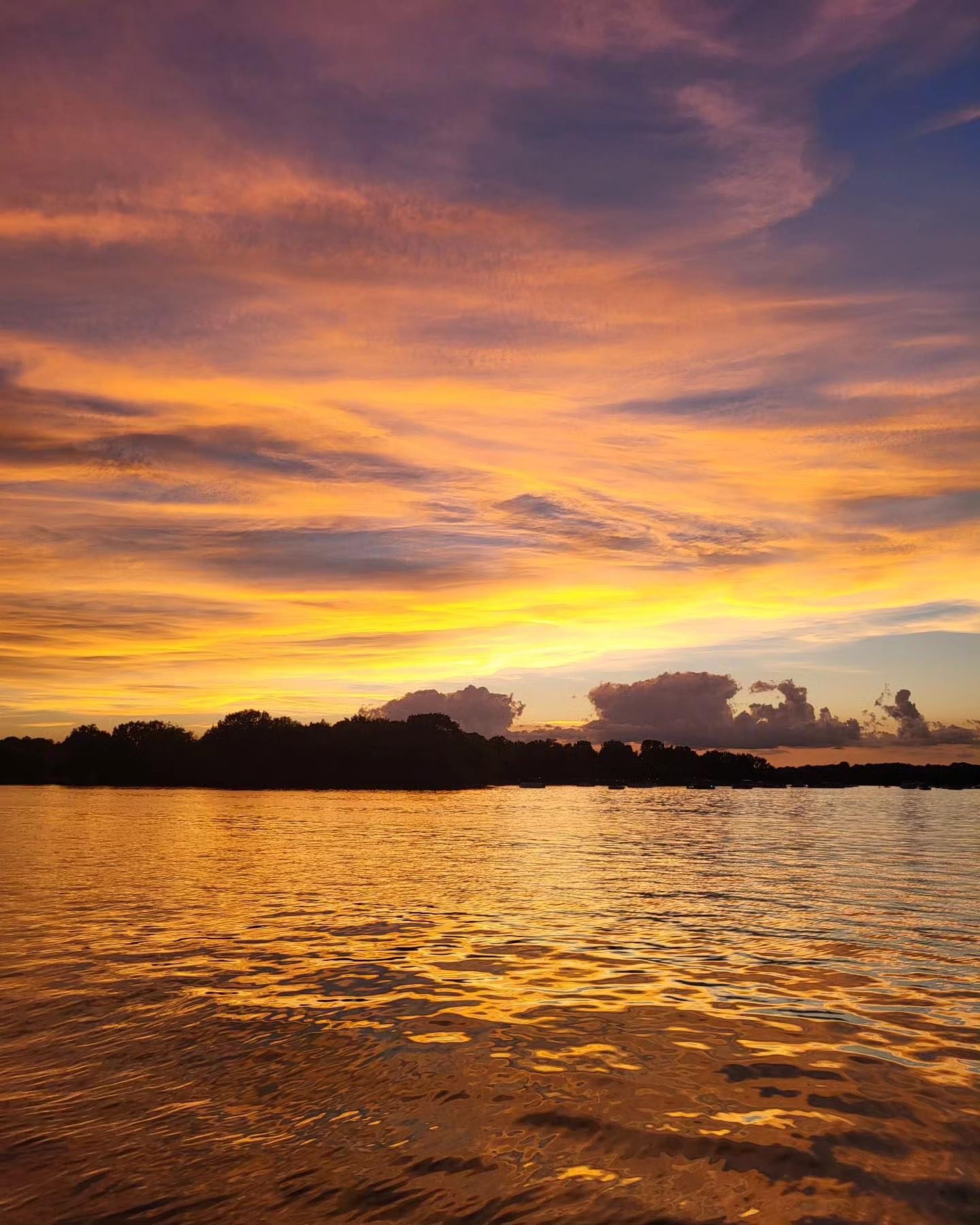 matthew.carroll3 on One Bite Pizza App