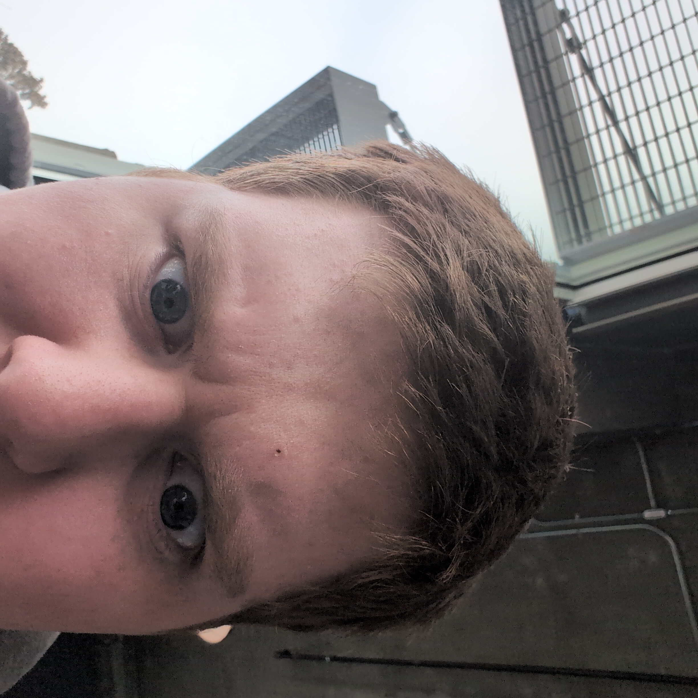 trenton.burns1 on One Bite Pizza App