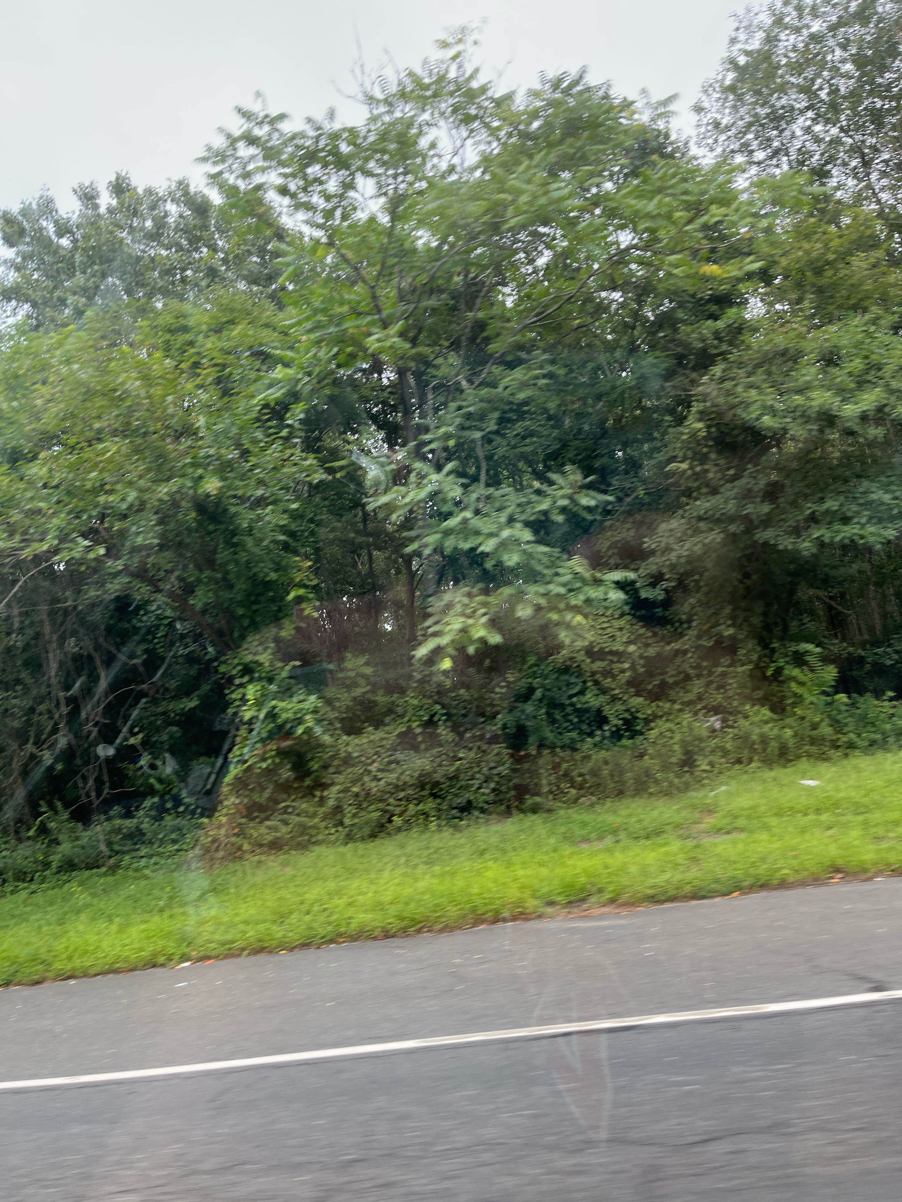 pizzakid124 on One Bite Pizza App