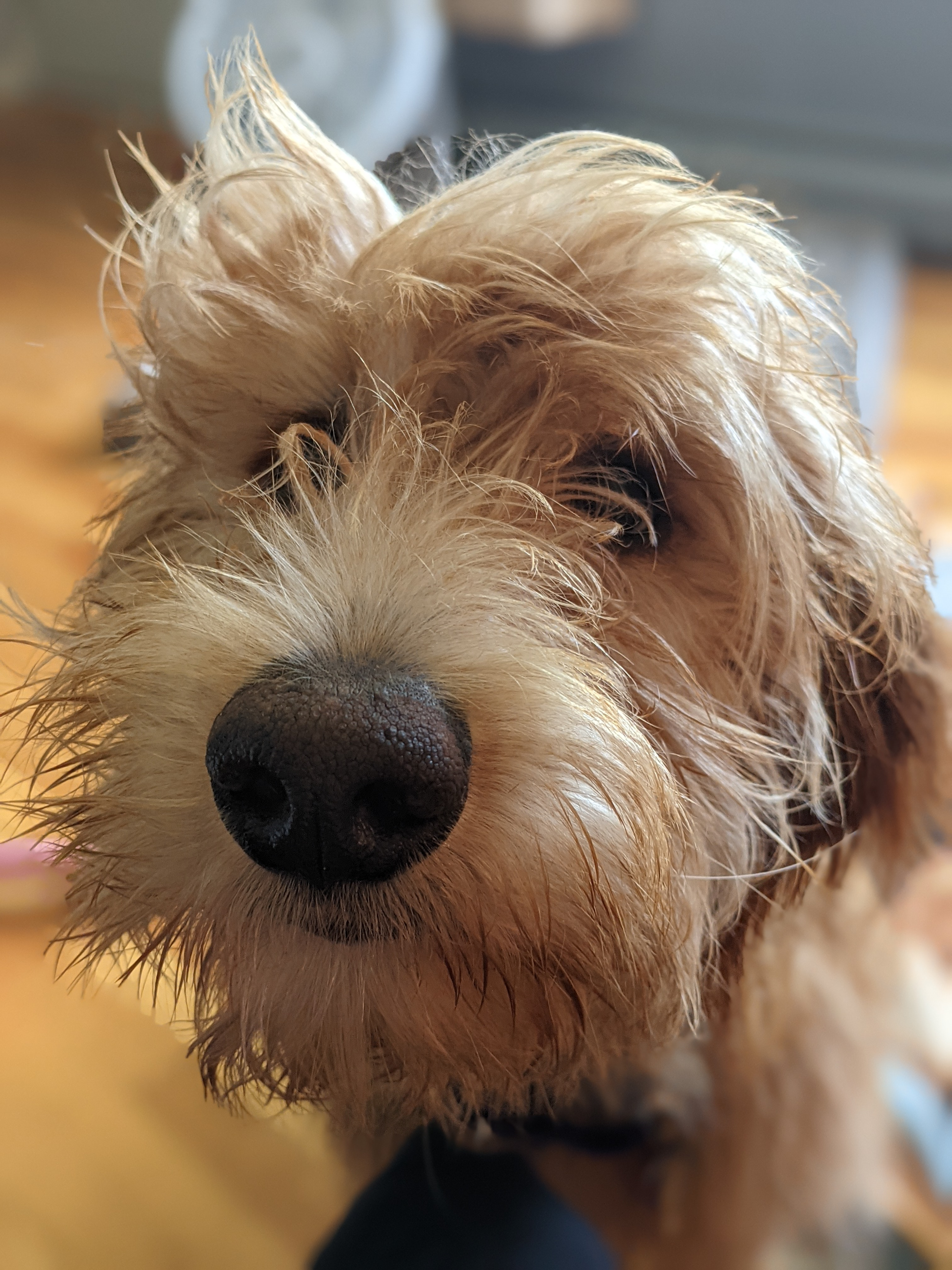 jay.goergen on One Bite Pizza App