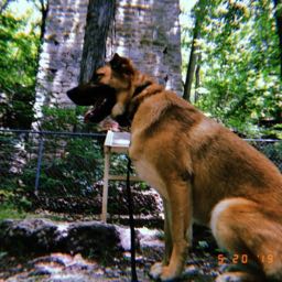 tyler.england2 on One Bite Pizza App