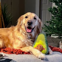 ronnie.foreman on One Bite Pizza App