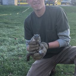 chris.paul on One Bite Pizza App