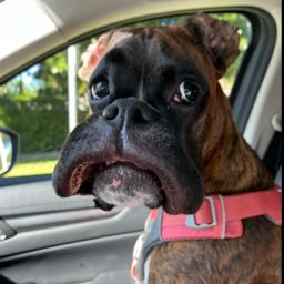 keith.lawler on One Bite Pizza App