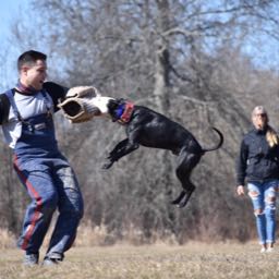 derrike.lacross on One Bite Pizza App