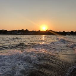 liinthelv25 on One Bite Pizza App