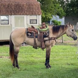 puerto on One Bite Pizza App