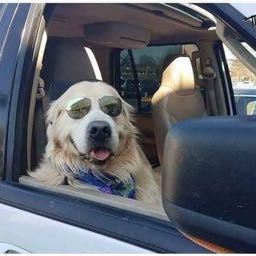 tim.sayles on One Bite Pizza App