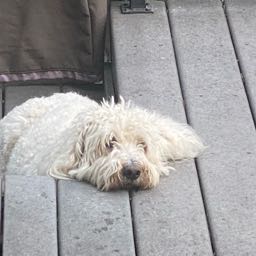 victor.henley on One Bite Pizza App