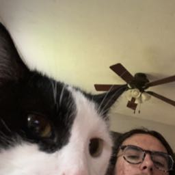 beck.mcintyre on One Bite Pizza App