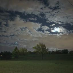 pizzasword on One Bite Pizza App