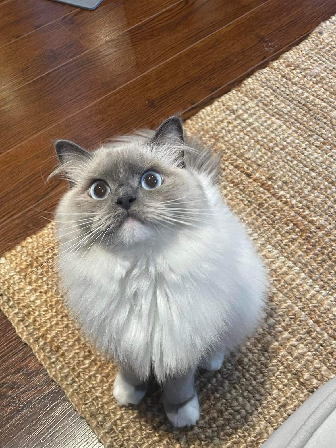 thalia.ly on One Bite Pizza App