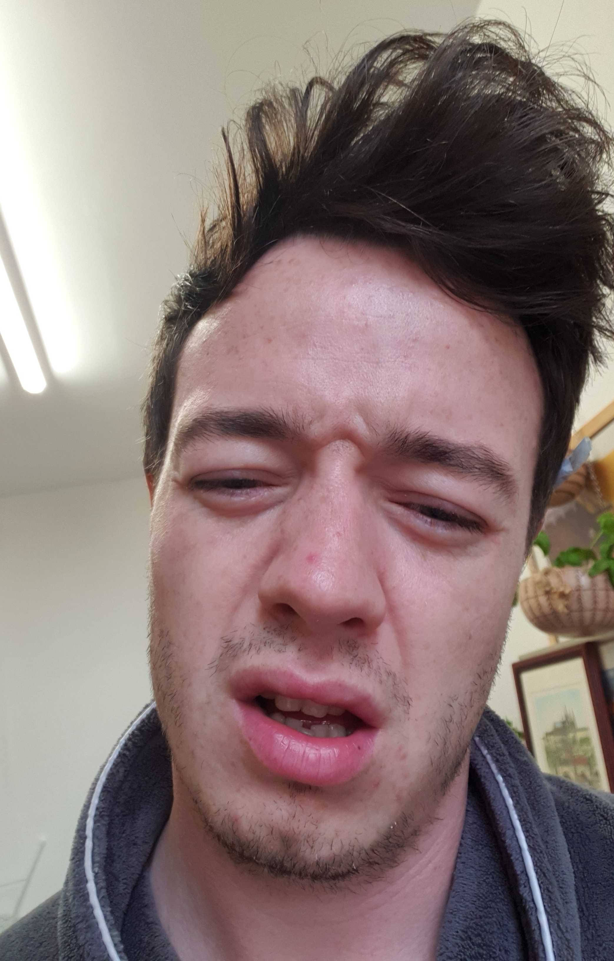 scranobrien on One Bite Pizza App