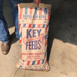 kspizza on One Bite Pizza App