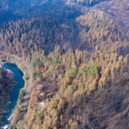 shaun.moore2 on One Bite Pizza App