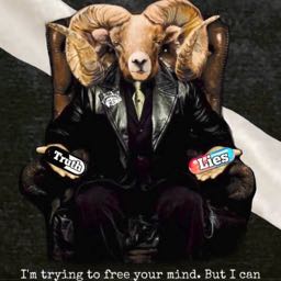 adam.olan on One Bite Pizza App