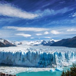 kruti.tilva on One Bite Pizza App