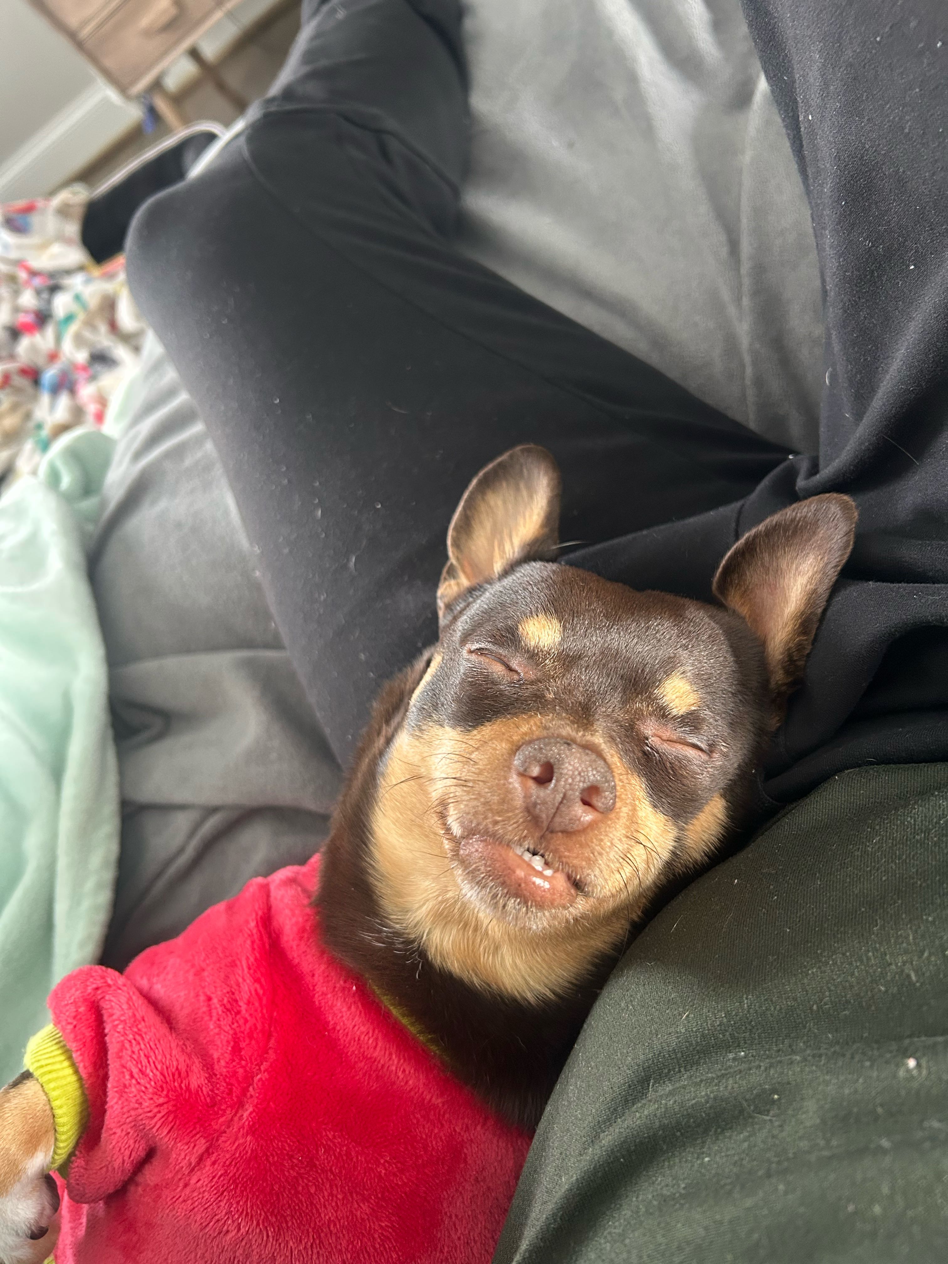 mitchell.lowery1 on One Bite Pizza App