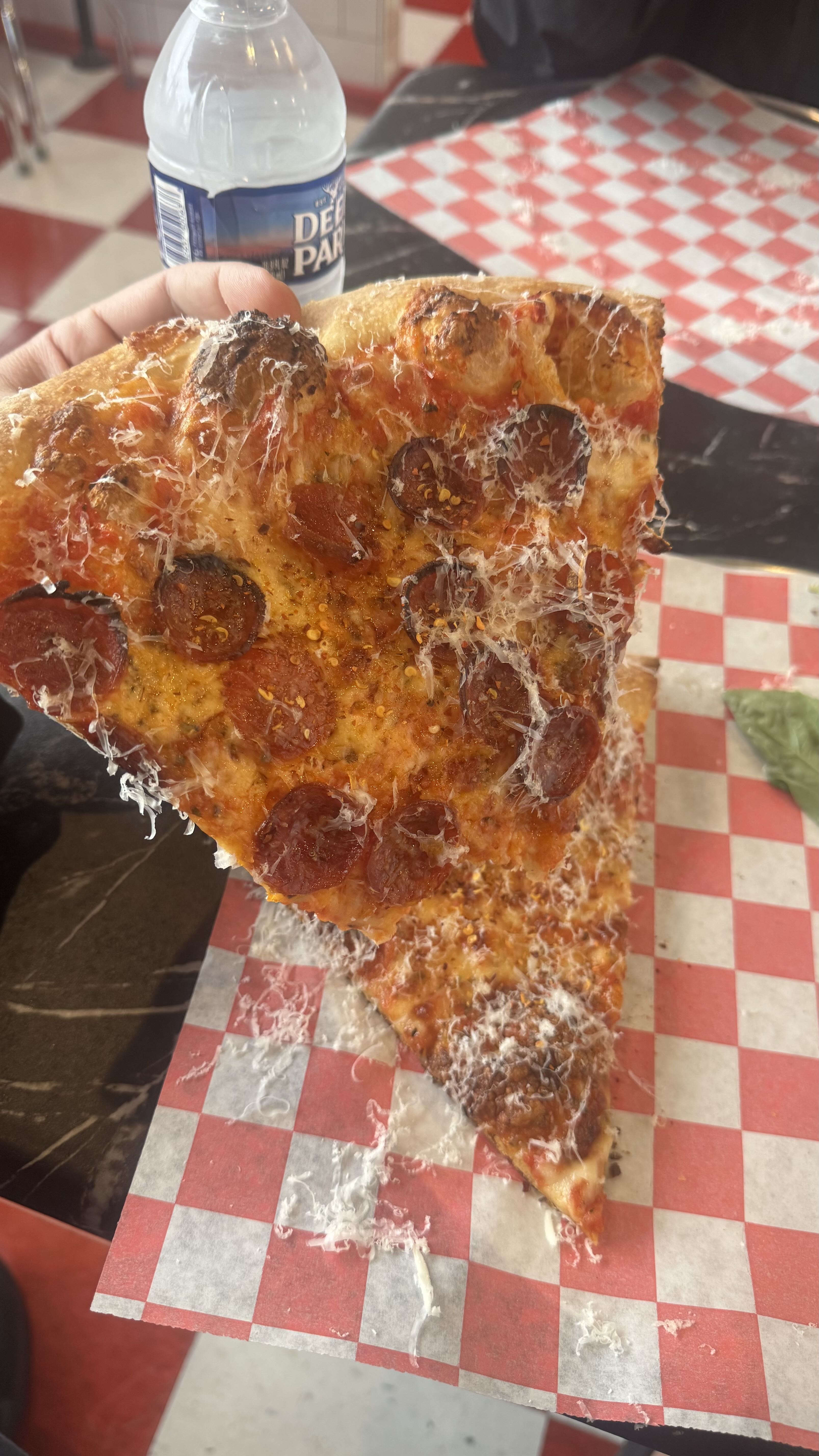 Pizza Review