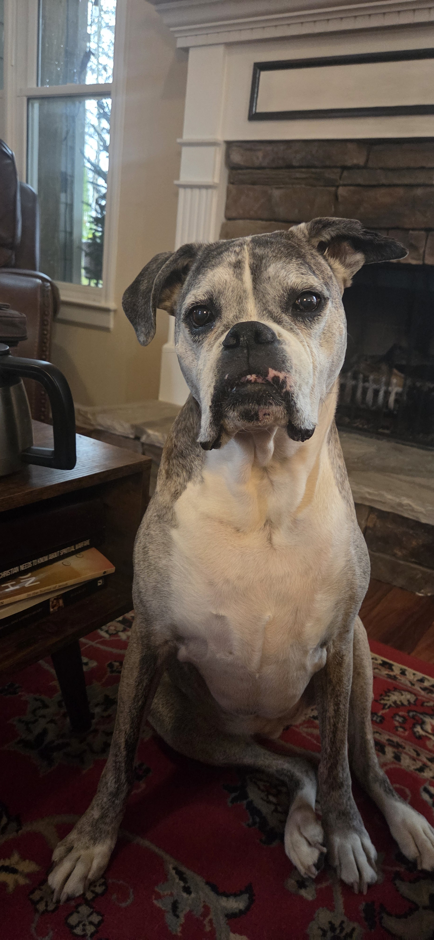 lee.stevenson on One Bite Pizza App