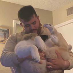 arevalolo on One Bite Pizza App