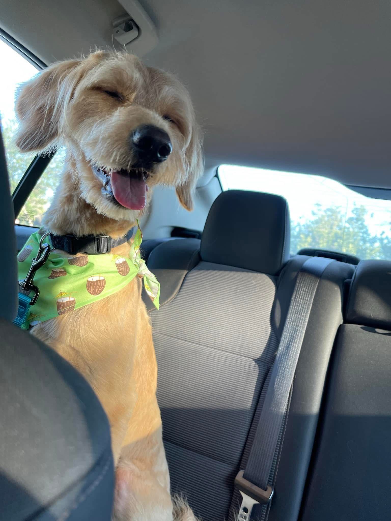 stugots99 on One Bite Pizza App