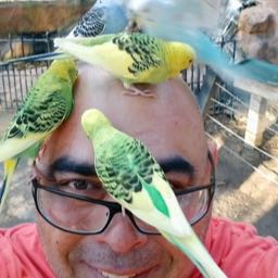 enis.karaoglu on One Bite Pizza App