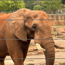 clifford.mason on One Bite Pizza App