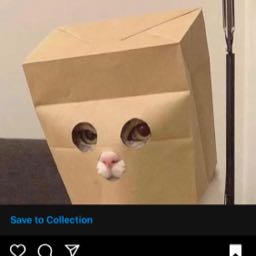 nathan.fontanilla on One Bite Pizza App