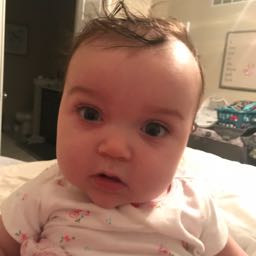 trevor.cockayne on One Bite Pizza App