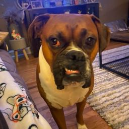 courtney.neckonchuk on One Bite Pizza App