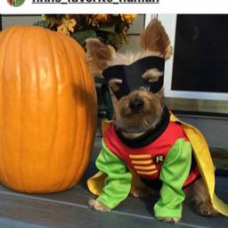 marrymedaveportnoy on One Bite Pizza App