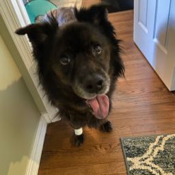 newhazedave on One Bite Pizza App