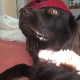 joe.wichmann on One Bite Pizza App