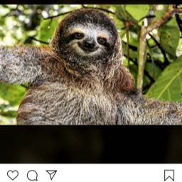 mike.moore16 on One Bite Pizza App