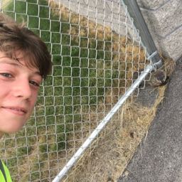 henry.kuerbis on One Bite Pizza App